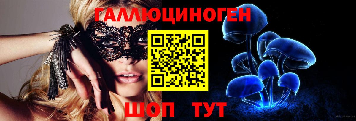 Новотроицк  Псилоцибиновые грибы Psilocybe  Вход с VPN  Галлюциногенные грибы мицелий 